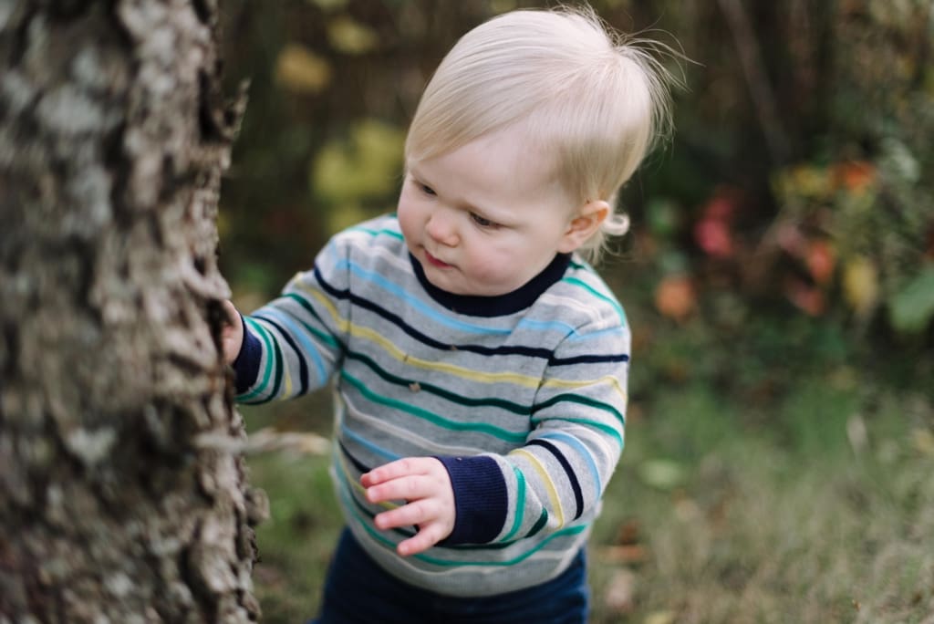 toddler investigating tree bark at family session
