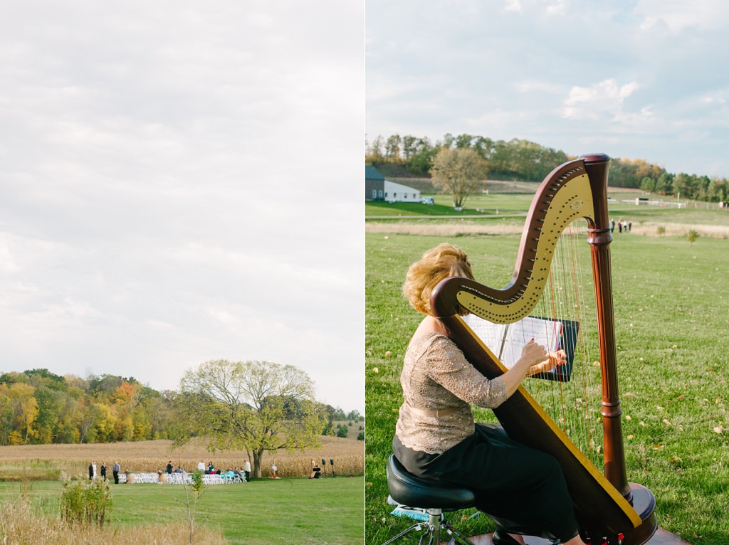 harpist plays at outdoor wisconsin wedding