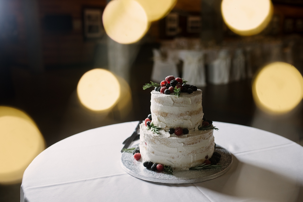 rustic simple wedding cake at minneapolis venue