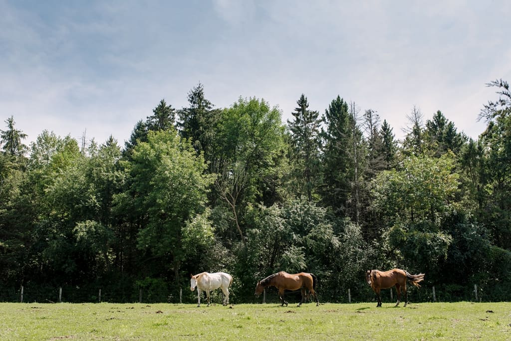 Landscape details in Wisconsin Camp Wedding