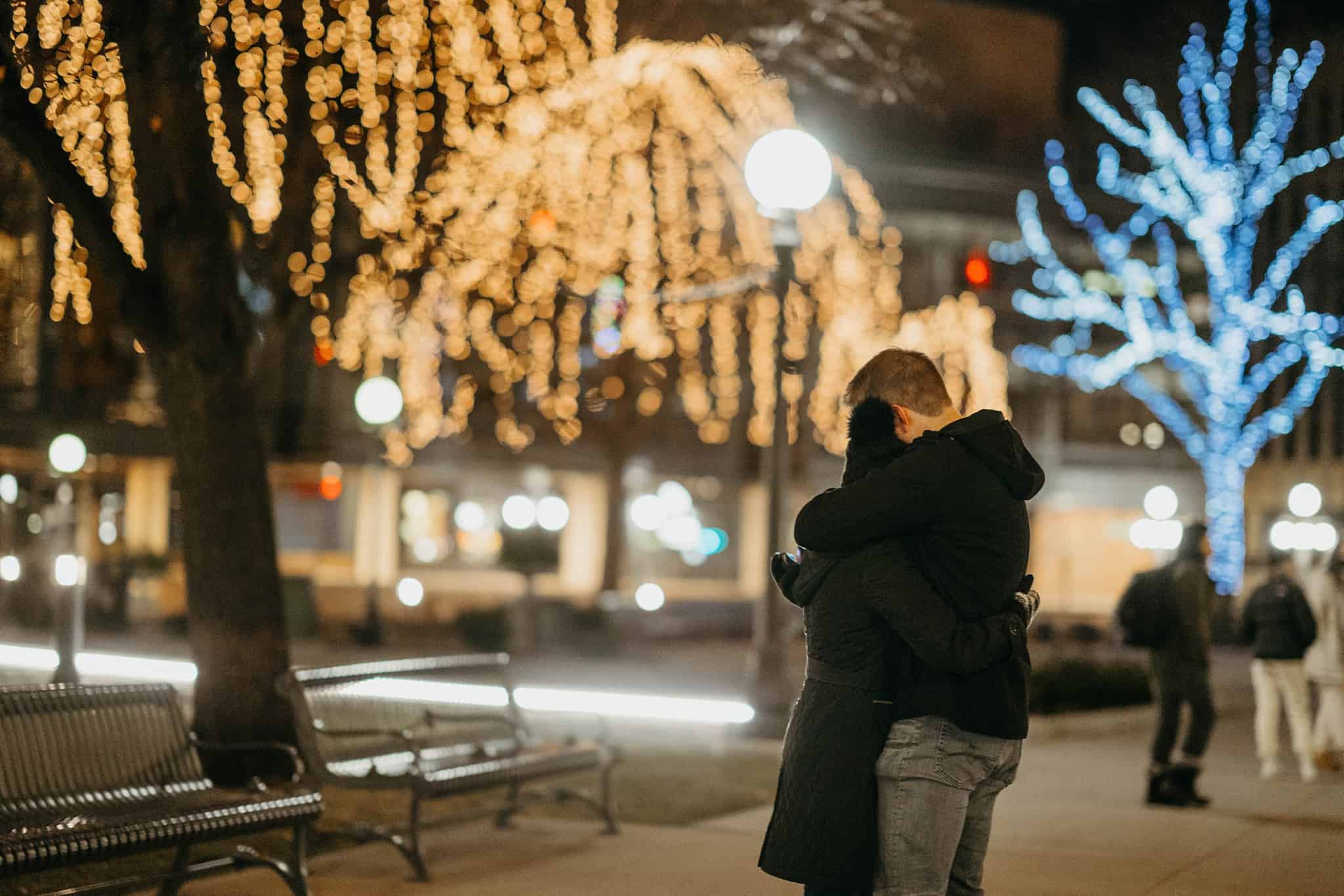 rice park proposal with winter lights