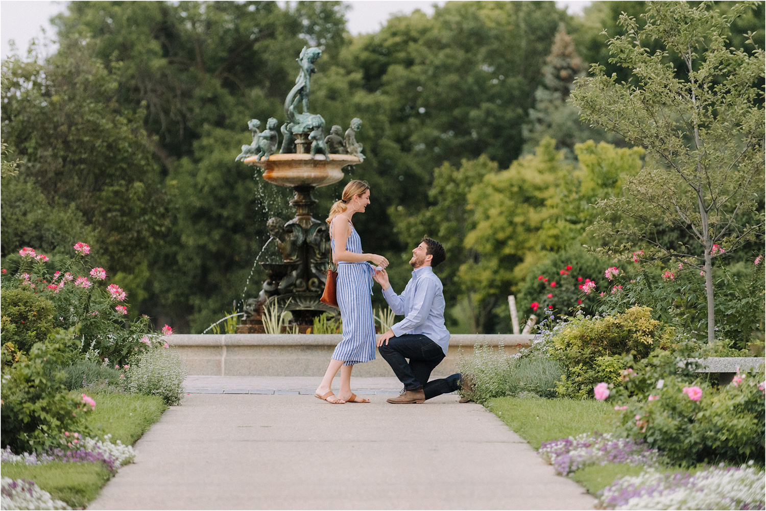 Man proposing in Rose Gardens in Minneapolis