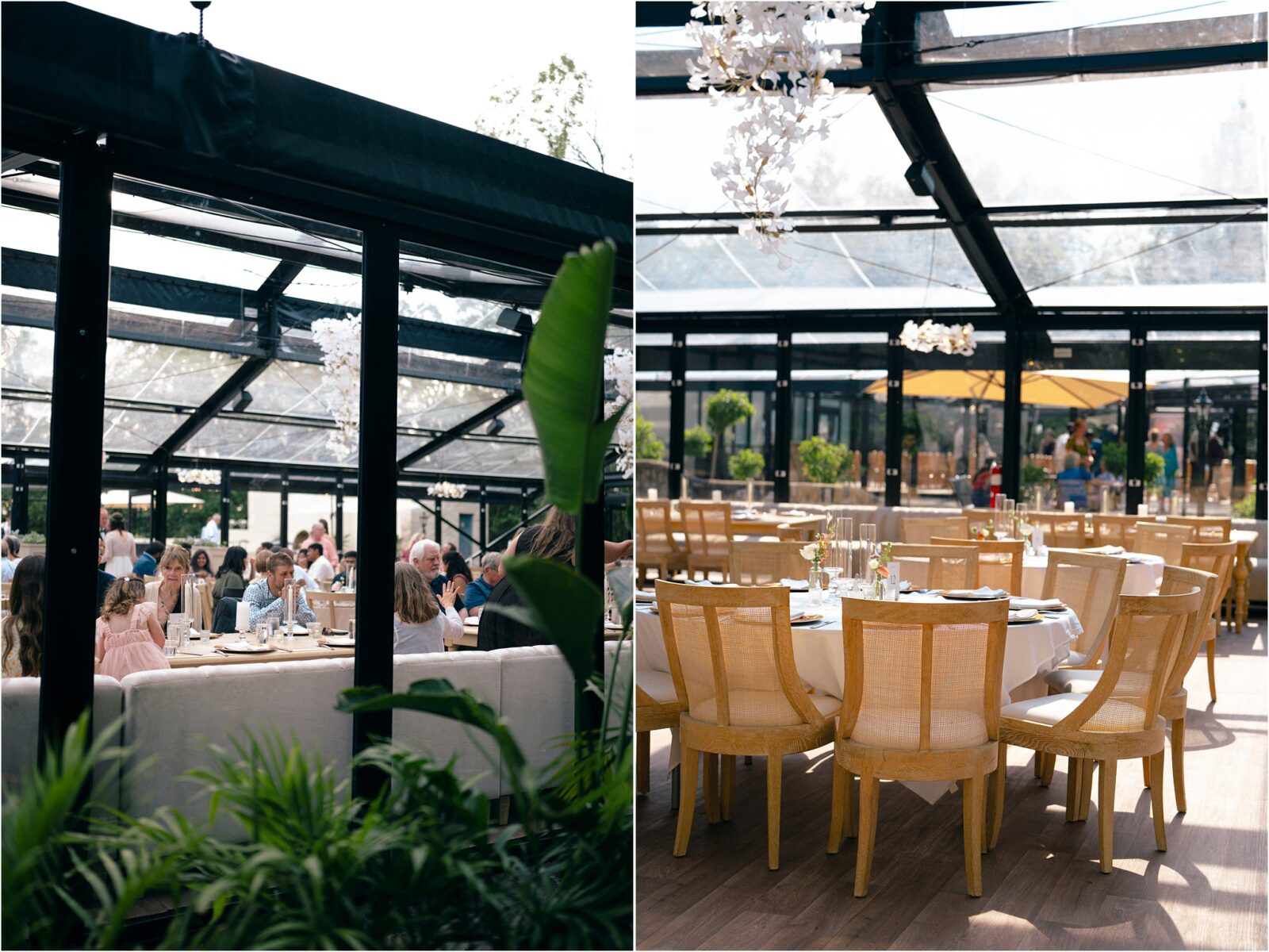 Woodland Glasshaus at Bavaria Downs